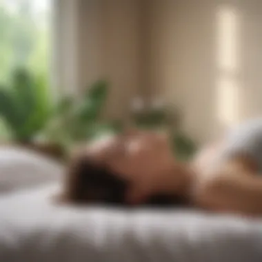 The Importance of Restful Sleep for Well-Being A serene environment showcasing a tranquil sleep setting