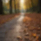 Serene path with fallen leaves inviting mindful walking