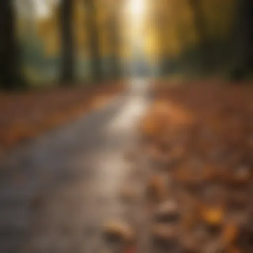 Serene path with fallen leaves inviting mindful walking