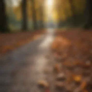 Mindful Walking Through Nature's Embrace Serene path with fallen leaves inviting mindful walking