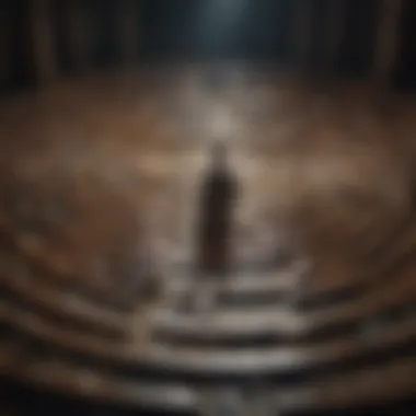 Navigating Life's Labyrinth A contemplative image symbolizing the complexities of life