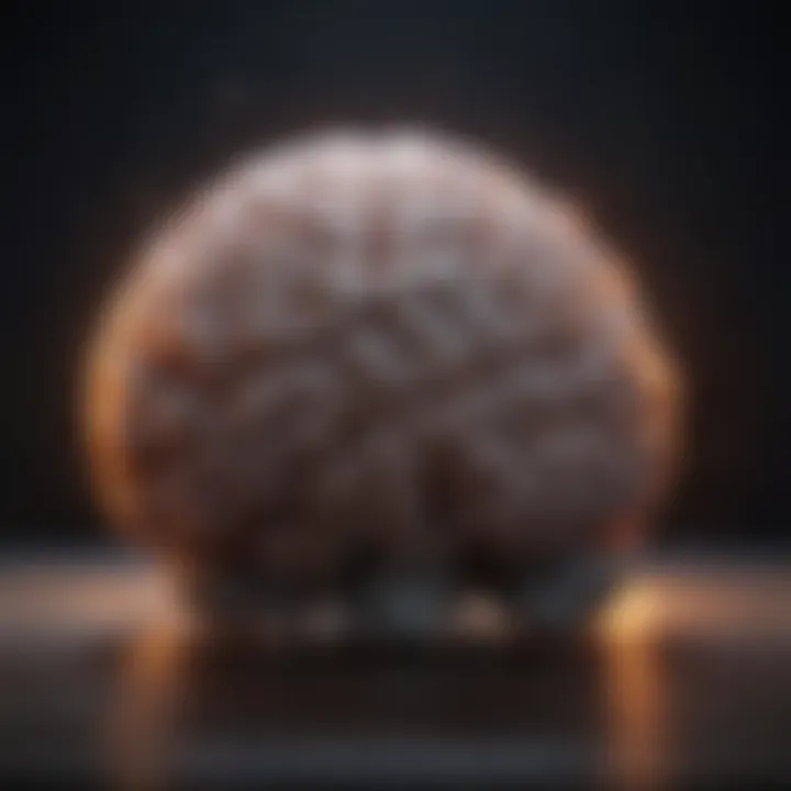 A visualization of brain activity during restful sleep