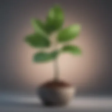 Symbol of Personal Growth Abstract illustration of a growing plant symbolizing growth