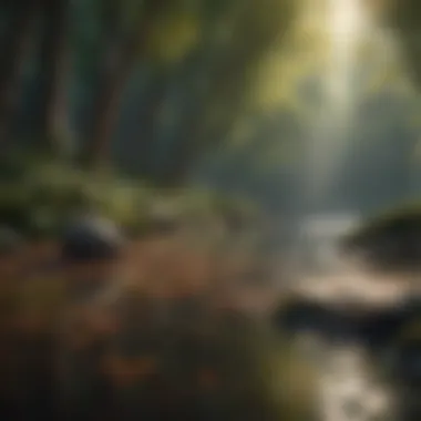 Creating a Peaceful Atmosphere A serene setting depicting tranquility and calmness