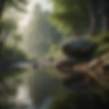Mindfulness Through Nature A serene landscape promoting mindfulness