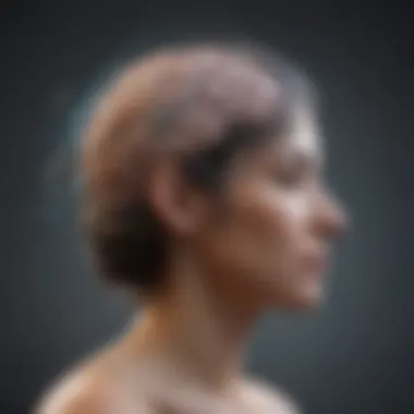 Understanding Emotional Intelligence Brain with interconnected pathways