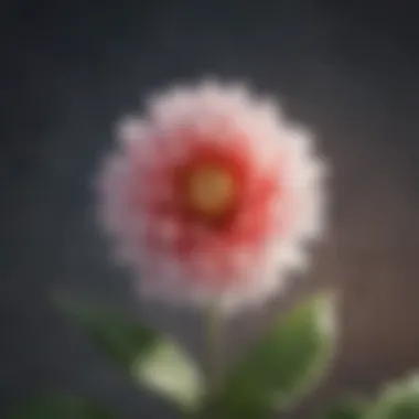 A close-up of a blooming flower symbolizing personal growth