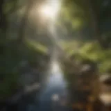 A serene landscape representing inner peace