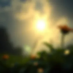 An abstract representation of self-worth