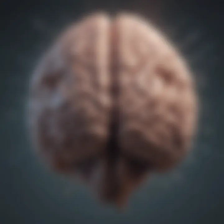 An abstract representation of the brain with highlighted areas linked to emotional responses
