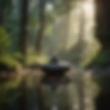 Tranquil Environment for Meditation A serene landscape illustrating tranquility