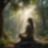 A tranquil scene depicting mindfulness meditation in nature