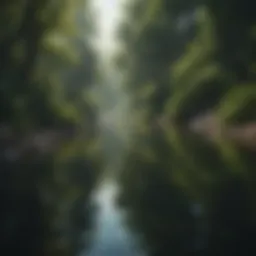 Calm landscape with serene water and lush greenery