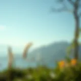 A serene landscape promoting mindfulness