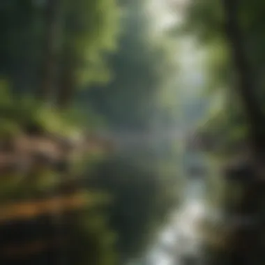 Tranquility in Nature A serene nature landscape embodying tranquility and mindfulness