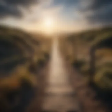 A pathway leading towards a horizon symbolizing freedom