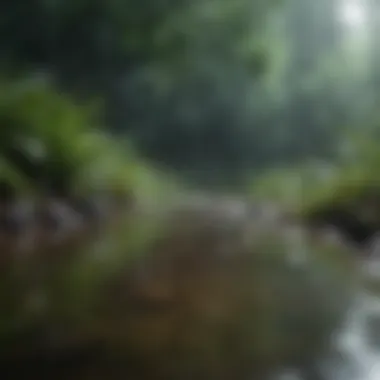 Gentle rain falling on lush greenery