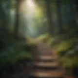 Tranquil woodland scenery for relaxation