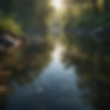 Reflections of Calm Water Calm water reflecting nature's beauty