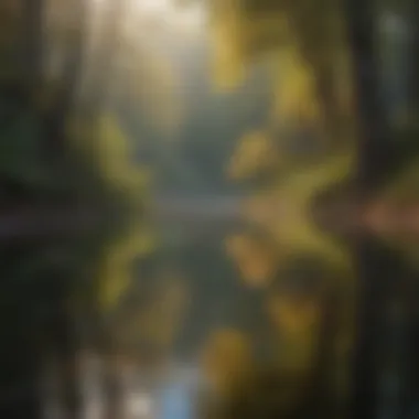 Nature's Reflection of Thankfulness A tranquil scene of nature reflecting calmness and appreciation.