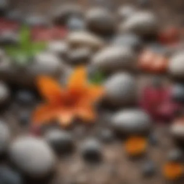 Elements of Nature: Tools for Mindfulness An arrangement of natural elements like stones, leaves, and flower petals, representing various grounding practices.