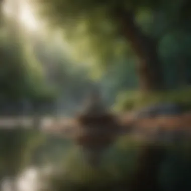 A Tranquil Scene for Reflection Serene landscape for meditation