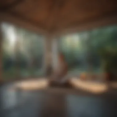 Creating a Peaceful Environment A tranquil meditation space with soft lighting