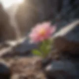 A delicate flower blooming amidst a rocky landscape, symbolizing resilience in love and life.