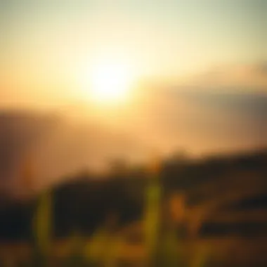 Tranquil morning landscape with sun rays