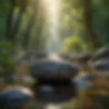 A serene landscape for meditation