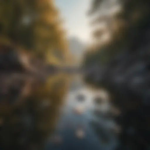 A serene landscape representing tranquility amidst turmoil
