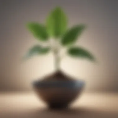 Symbol of Personal Growth A flourishing plant representing growth and self-acceptance