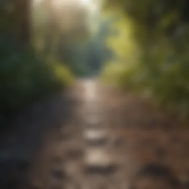 Journey of Resilience A pathway symbolizing journey and resilience through challenges