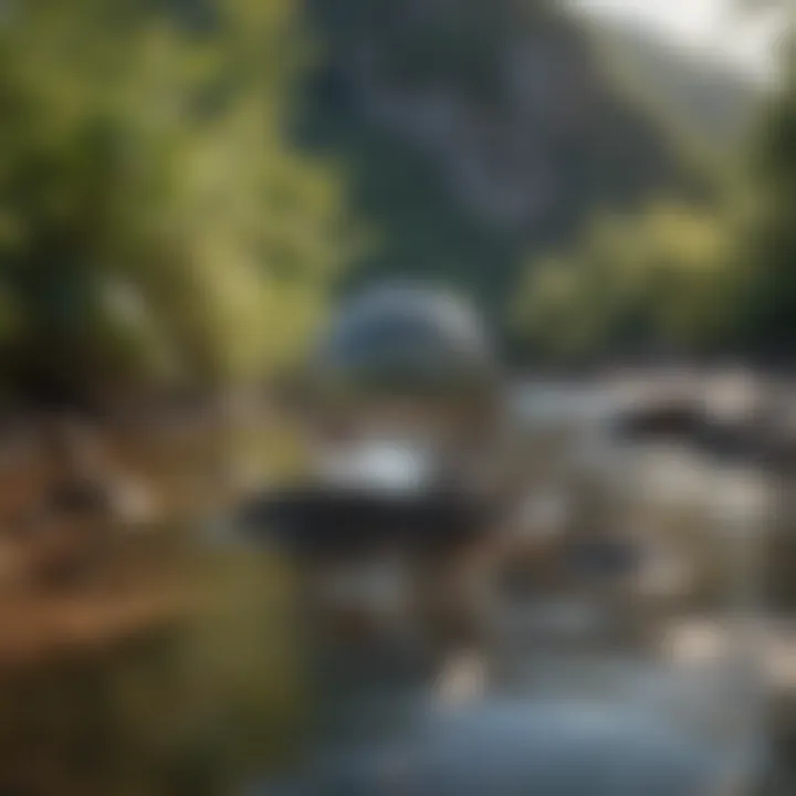 A serene landscape representing tranquility and strength