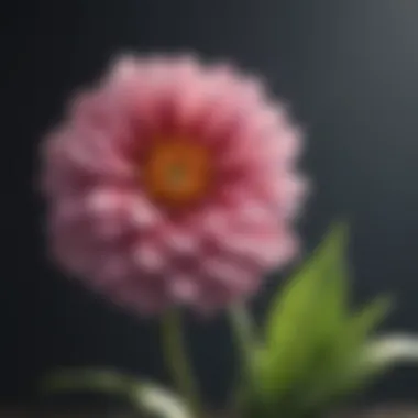 Cultivating Personal Growth A blooming flower representing personal growth