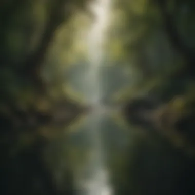 Tranquil landscape depicting serenity
