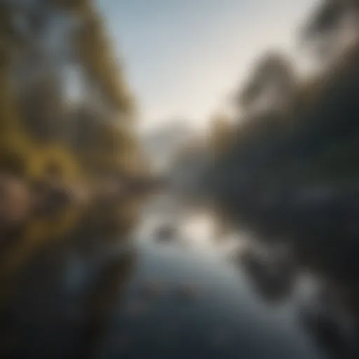 A serene landscape reflecting tranquility amidst sadness