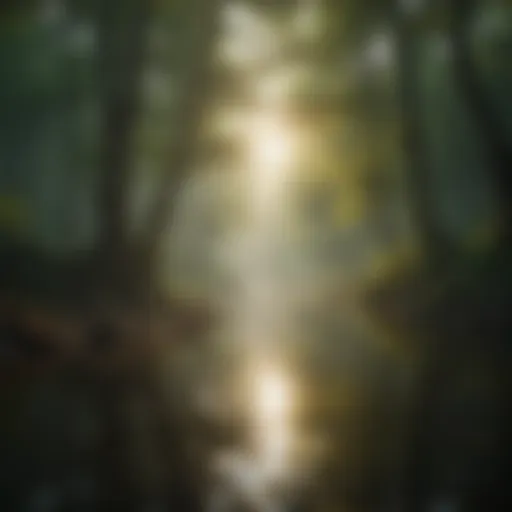 A tranquil landscape with soft sunlight filtering through trees