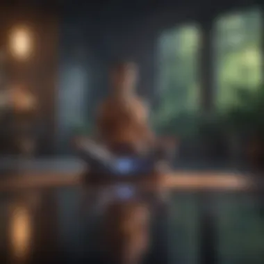 A futuristic concept of meditation aided by technology