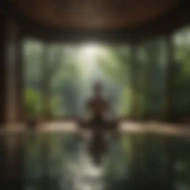 Tranquil Environment for Meditation Tranquil setting for sensory deprivation