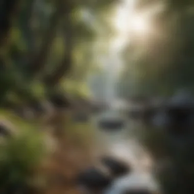 Finding Peace in Nature A serene landscape reflecting tranquility and inner peace