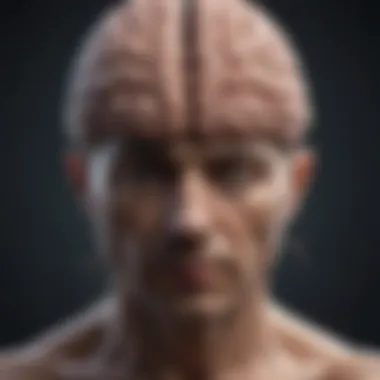 Brain-Body Connection A brain and body connection illustration showing emotional interplay