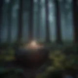 Nighttime forest ambiance with soothing sounds