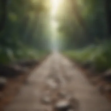 Pathway to Clarity and Focus Visual representation of mental clarity and focus