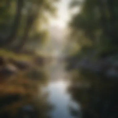 Serenity in Nature A serene landscape for relaxation