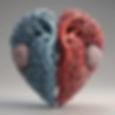 An illustration of a heart intertwined with a brain symbolizing harmony