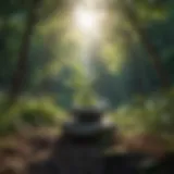A serene landscape depicting tranquility and connection with nature