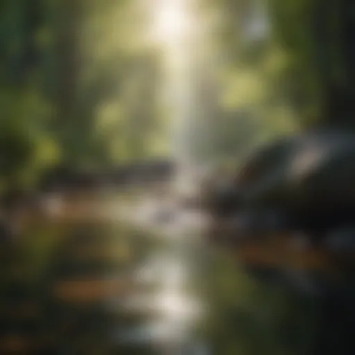 A serene nature landscape showcasing tranquility