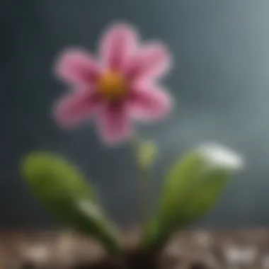 Growth Through Adversity A blooming flower amidst a storm, representing growth through adversity