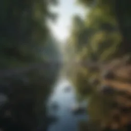 A serene landscape symbolizing mental clarity